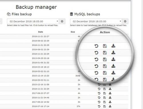 DirectAdmin Backup Manager 1 year  recovery icons